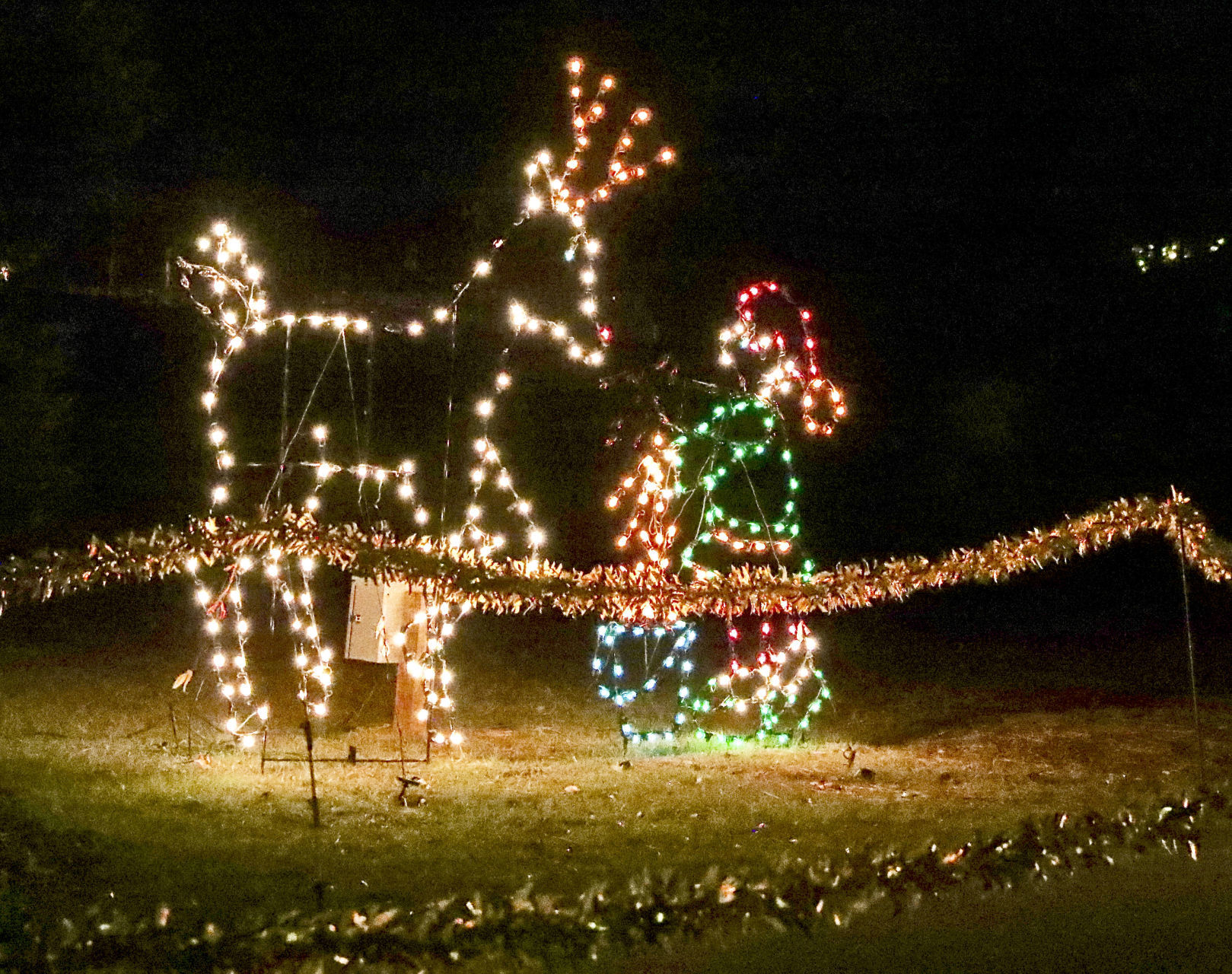 Orangeburg Christmas Lights